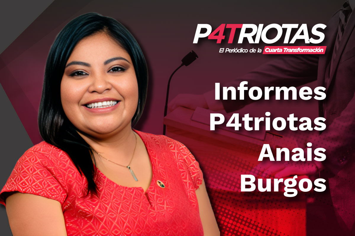 Informes P4triotas Anais Burgos