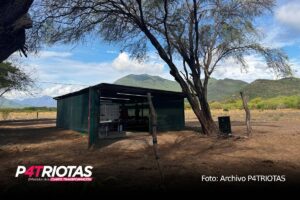 BioFábricas en Michoacán, el nuevo rostro de la revolución agrícola