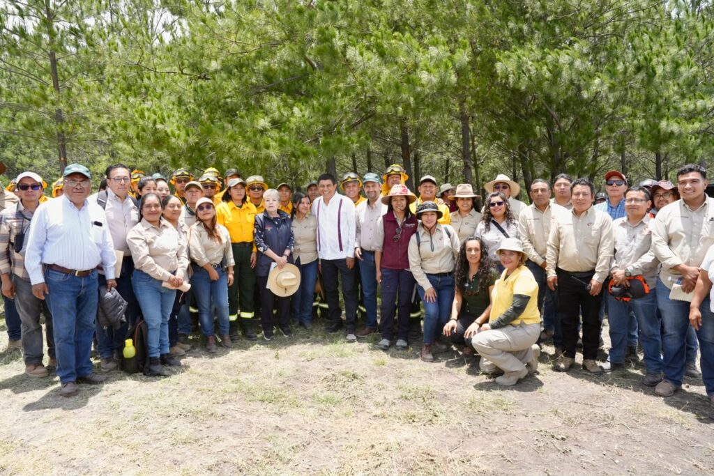 Reiteran Gobiernos de Oaxaca y México compromiso para fortalecer acciones de reforestación en Oaxaca