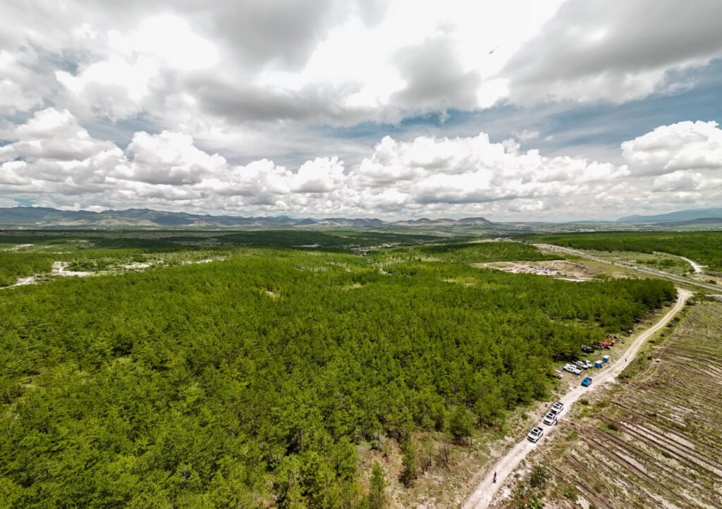 Reiteran Gobiernos de Oaxaca y México compromiso para fortalecer acciones de reforestación en Oaxaca